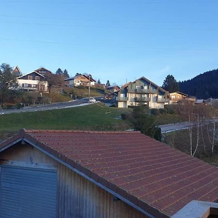 Le Martin Pecheur - Appartement Gérardmer Exterior foto