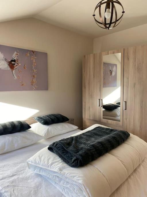 Le Martin Pecheur - Appartement Gérardmer Exterior foto